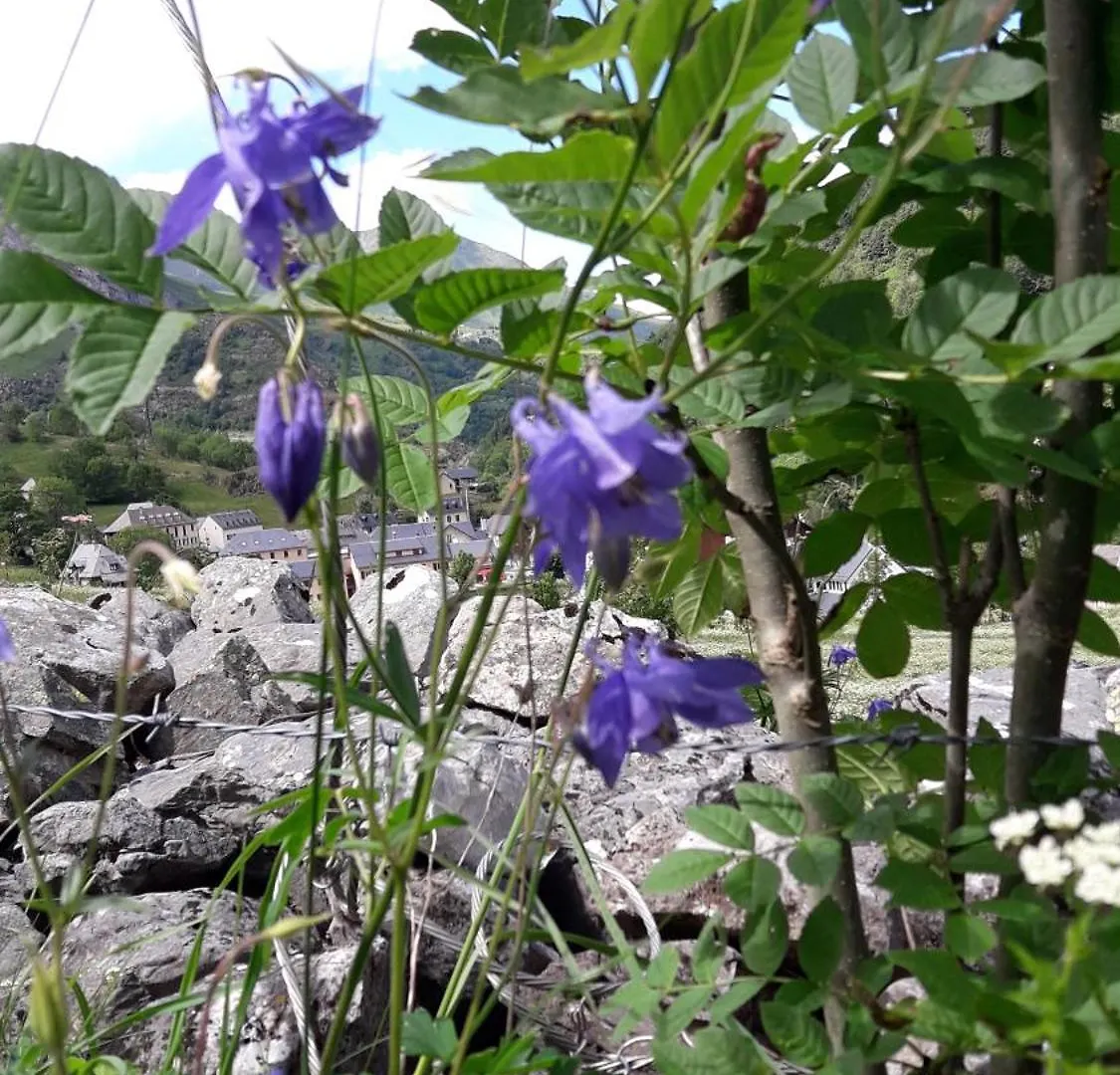 Bed & Breakfast Chambres D'Hotes L'Astazou Gavarnie