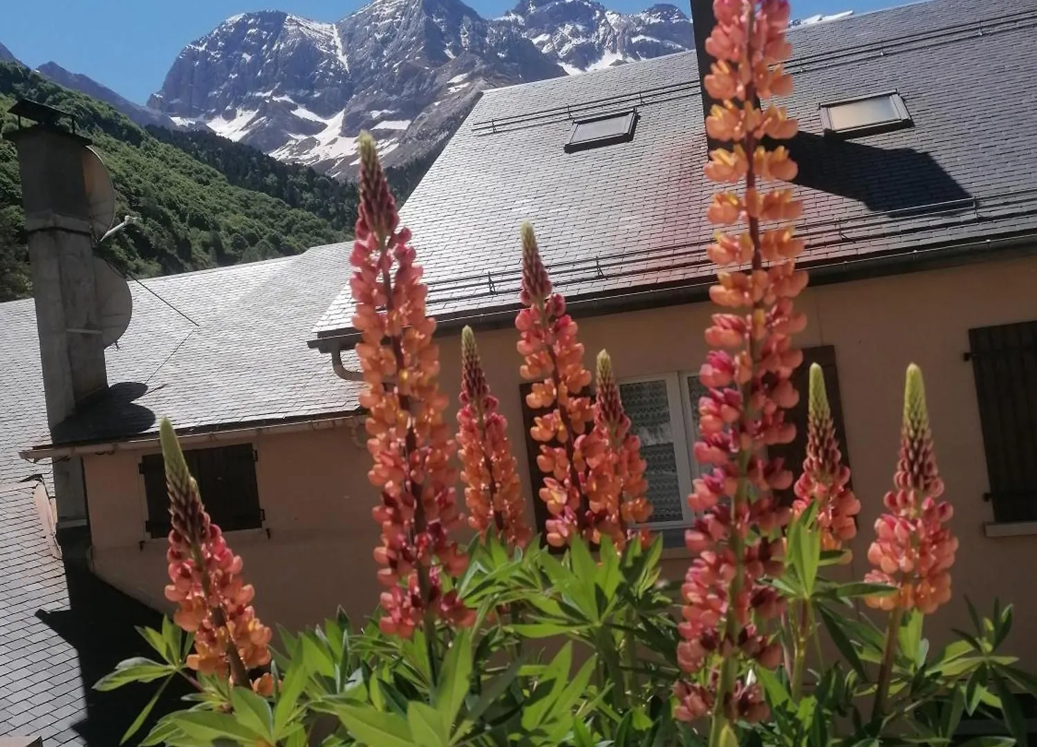 Chambres D'Hotes L'Astazou Gavarnie France